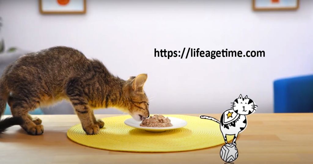 tiny tiger cat food